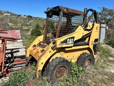 Caterpillar 248 in vendita da DAMAC