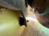 Ammann ARX45 Foto 16 thumbnail