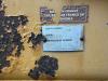 Caterpillar D 6 R XL III Foto 12 thumbnail