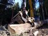 New Holland E245B Foto 10 thumbnail