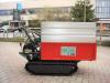 Gior 600 MOTORE ZANETTI - CASSONE AGRICOLO - RIBALTAMENTO IDRAULICO Foto 30 thumbnail