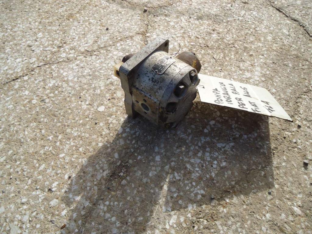 Pompa idraulica per Fiat Allis FL4 Foto 1