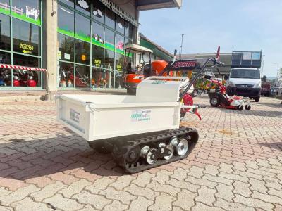 Tekna 400 HONDA AGRICOLA FORESTALE - UNICA SUL MERCATO - CAMBIO A LEVA SU CONSOLE in vendita da Giordano Srl