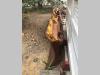 Lama dozer per Fiat Allis FL10C, FL10B Foto 1 thumbnail