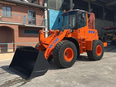 Fiat Hitachi W130A in vendita da Massucco T. Srl