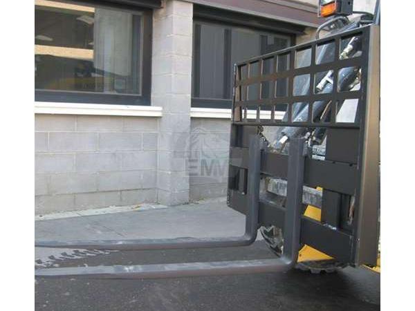 EMM Forca pallet 25 q.li Foto 3