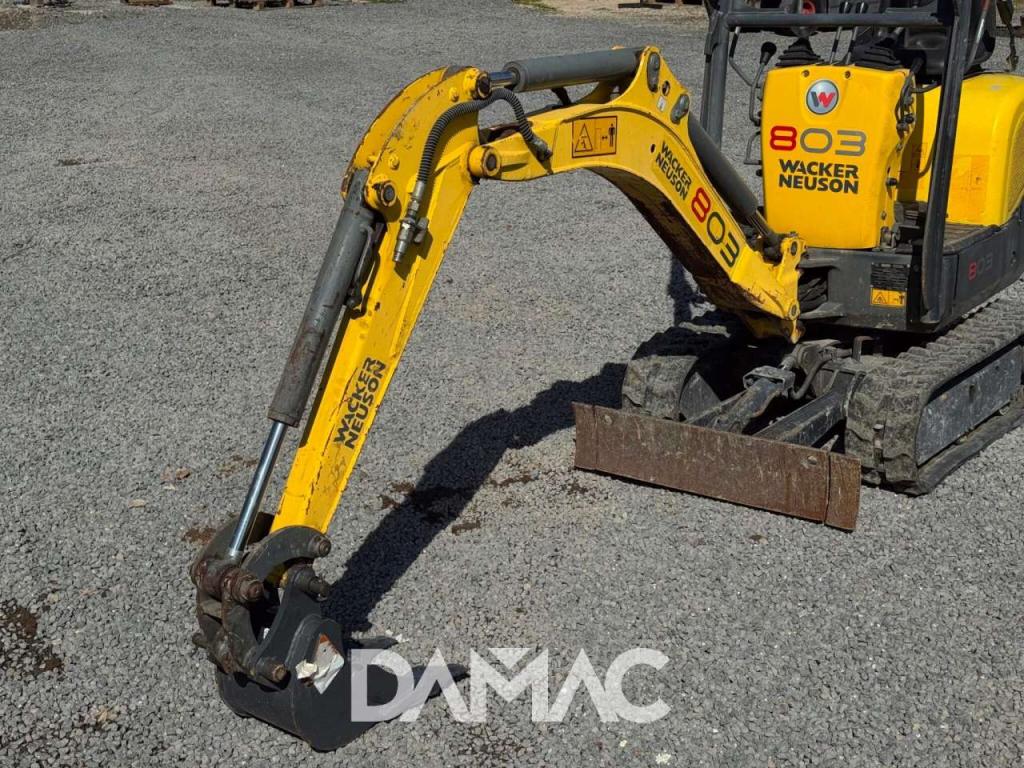 Wacker Neuson 803 Foto 18