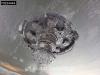 Krone SD Doppelstock Thermoking 300 Foto 28 thumbnail