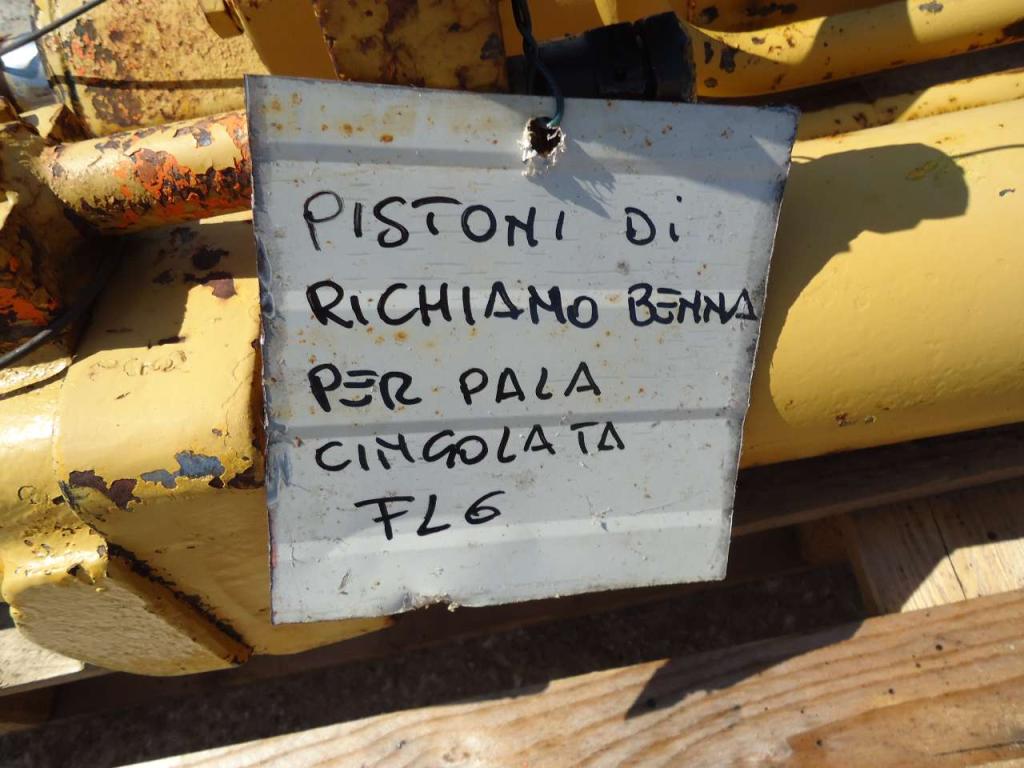 Pistone rotazione benna per Fiat FL6 Foto 2