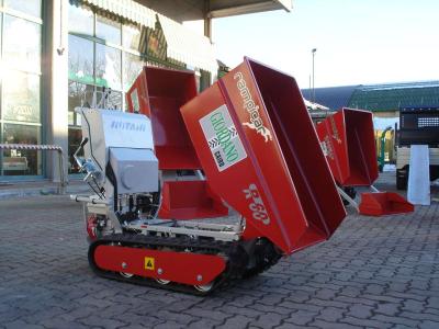 Rotair RAMPICAR R60 HONDA DUMPER in vendita da Giordano Srl