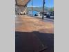 Orthaus centinato Foto 5 thumbnail