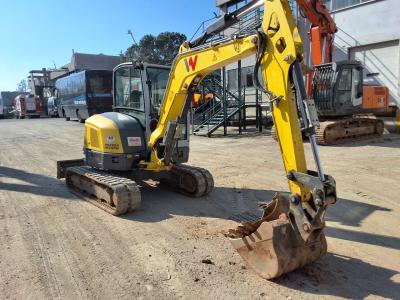 Wacker Neuson EZ50 in vendita da Iveco Orecchia Spa