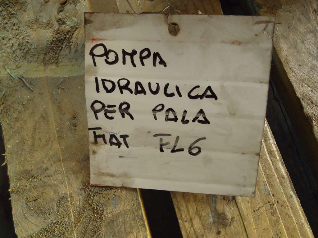 Pompa idraulica per Fiat FL6 Foto 7