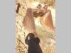 MANTOVANI 1400 Foto 3 thumbnail