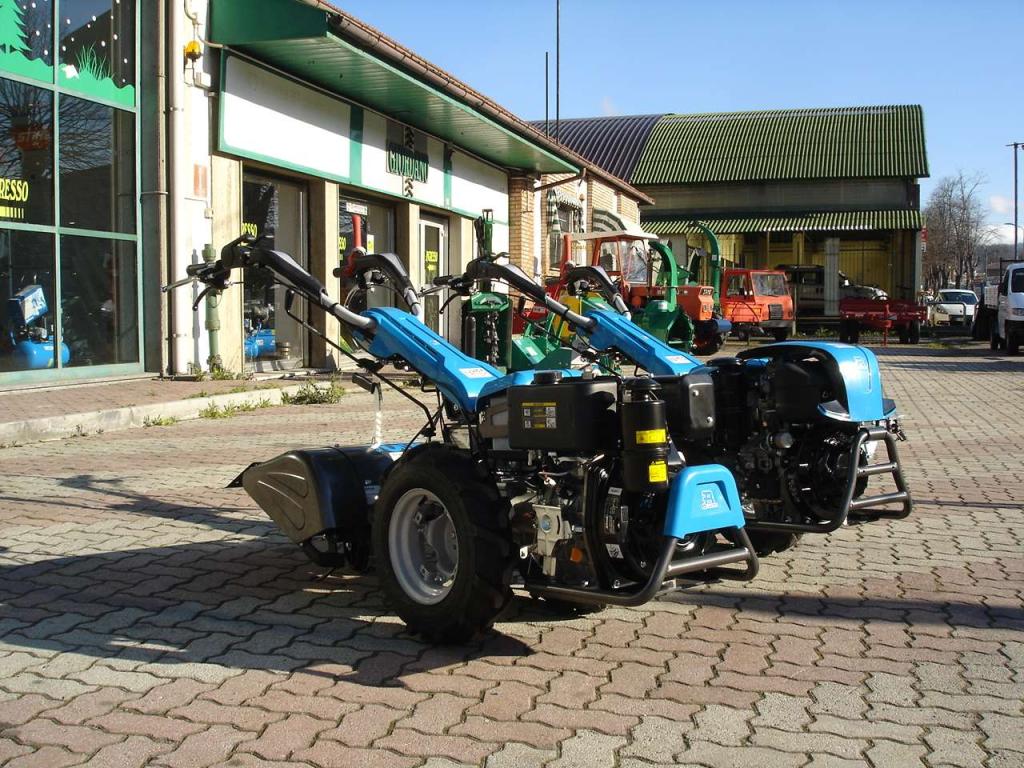 Bertolini 413 S REVERSIBILE - DIESEL EMAK LOMBARDINI Foto 1