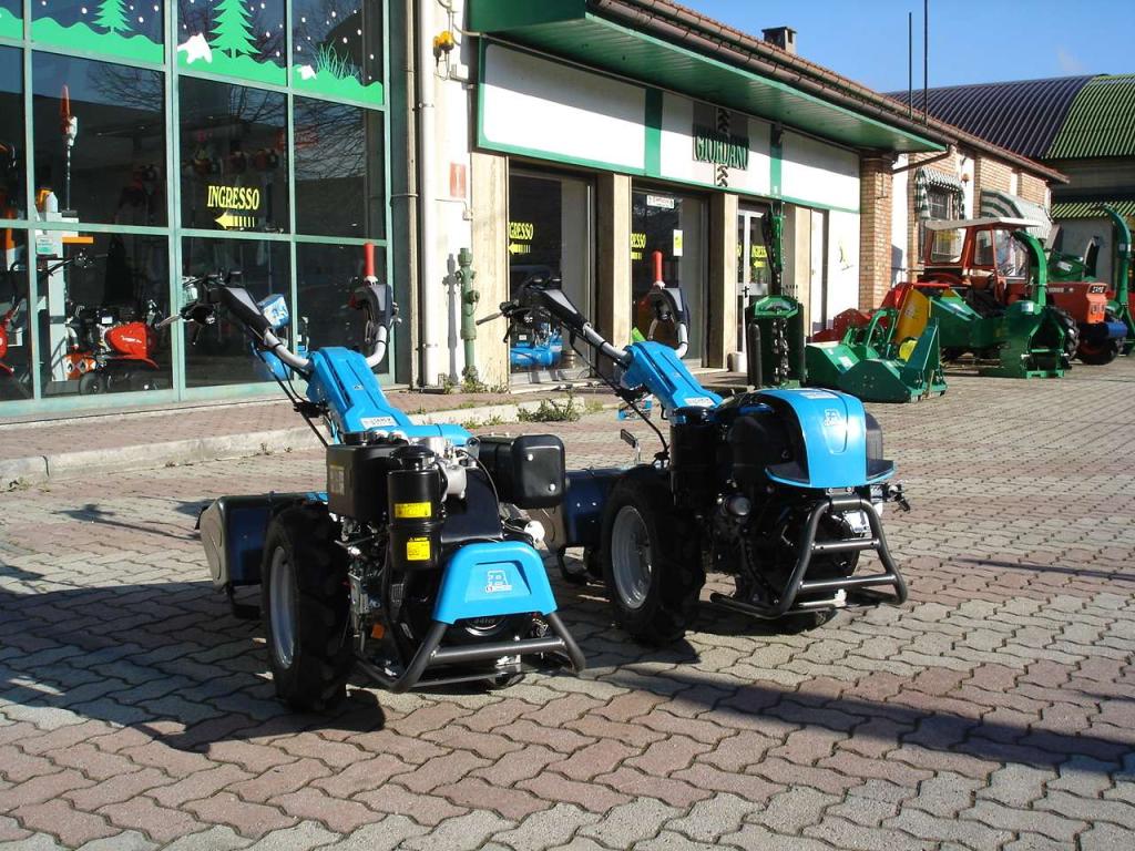 Bertolini 413 S REVERSIBILE - DIESEL EMAK LOMBARDINI Foto 2