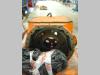 Assale anteriore per Fiat Hitachi W 270 Foto 1 thumbnail