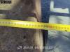 Takeuchi TB295 W Foto 21 thumbnail
