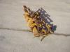 Pedaliera per DOZER FL20 Foto 2 thumbnail