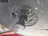 Benalu BENCERE Lift Axle 47m3 Foto 26 thumbnail