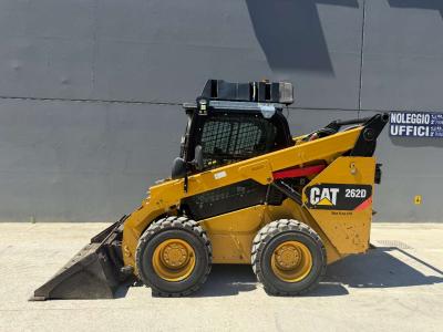 Caterpillar 262D in vendita da G.R. Import Export