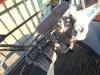 Hitachi ZX490LCH-7 Foto 17 thumbnail