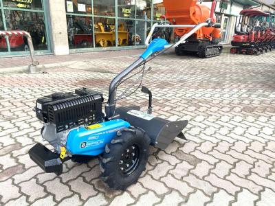 Bertolini 350 in vendita da Giordano Srl