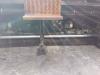 Marini MF 564 Foto 11 thumbnail