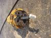 Giunto Rotante per Caterpillar 325 C Foto 4 thumbnail
