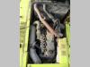 New Holland E245C Foto 22 thumbnail