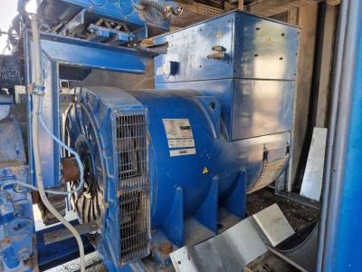 STAMFORD NEWAGE HC.I634H2 in vendita da REDAGEST S.R.L.