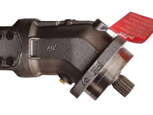 Bosch Rexroth A2FM63/61W-VAB020 Foto 3