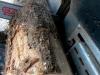Balfor CONTINENTAL 414 C JOY TRIFASE 15 KW o AZIONATA a TRATTORE Foto 17 thumbnail