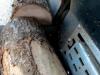 Balfor CONTINENTAL 414 C JOY TRIFASE 15 KW o AZIONATA a TRATTORE Foto 20 thumbnail
