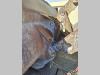 pin-on 2900 mm for Volvo L110, 120 Benna da carico Foto 5 thumbnail