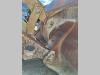 pin-on 2900 mm for Volvo L110, 120 Benna da carico Foto 7 thumbnail