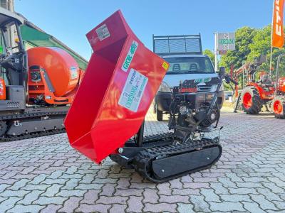 Gior 600 DUMPER ZANETTI - RIBALTAMENTO IDRAULICO in vendita da Giordano Srl