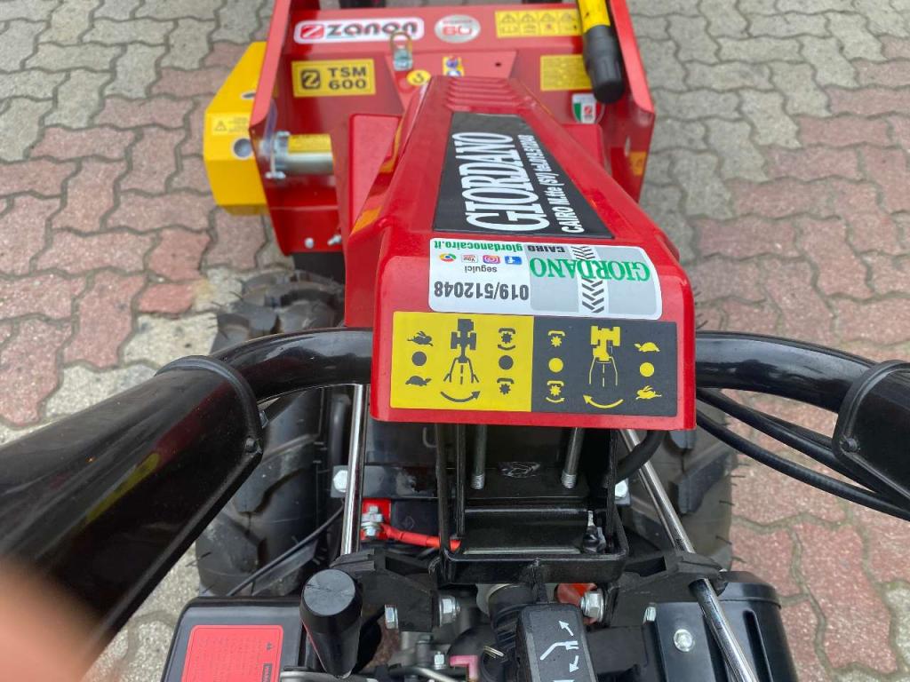 Gior GIOR-BCS 413 S DIESEL CON TRINCIA ZANON Foto 12