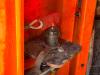 Towerlight Hydro Power Cube Foto 15 thumbnail