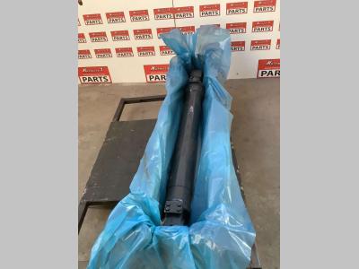 Pistone sollevamento per Case WX 168 in vendita da Massucco T. Srl Area Ricambi