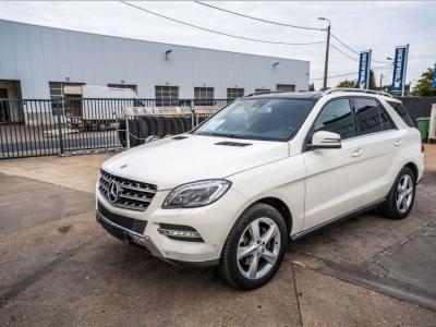 Mercedes-Benz ML 250 CDI in vendita da Braem NV