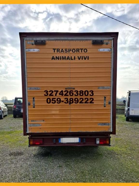 Iveco DAILY 35.10 Foto 6