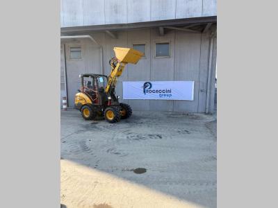 SDLG L902H in vendita da Procaccini Group