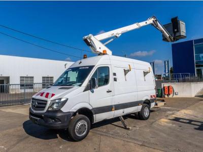 Mercedes-Benz SPRINTER 516 CDI - DANILIFT P145 V in vendita da Braem NV