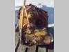 Trasmissione per Fiat Allis FL14D - FL14E - FL10E - CODICE 79032242 Foto 3 thumbnail