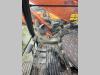 Hitachi ZX350LCN Foto 22 thumbnail