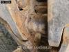 McCloskey S190 Foto 28 thumbnail