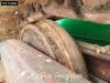 McCloskey S190 Foto 29 thumbnail