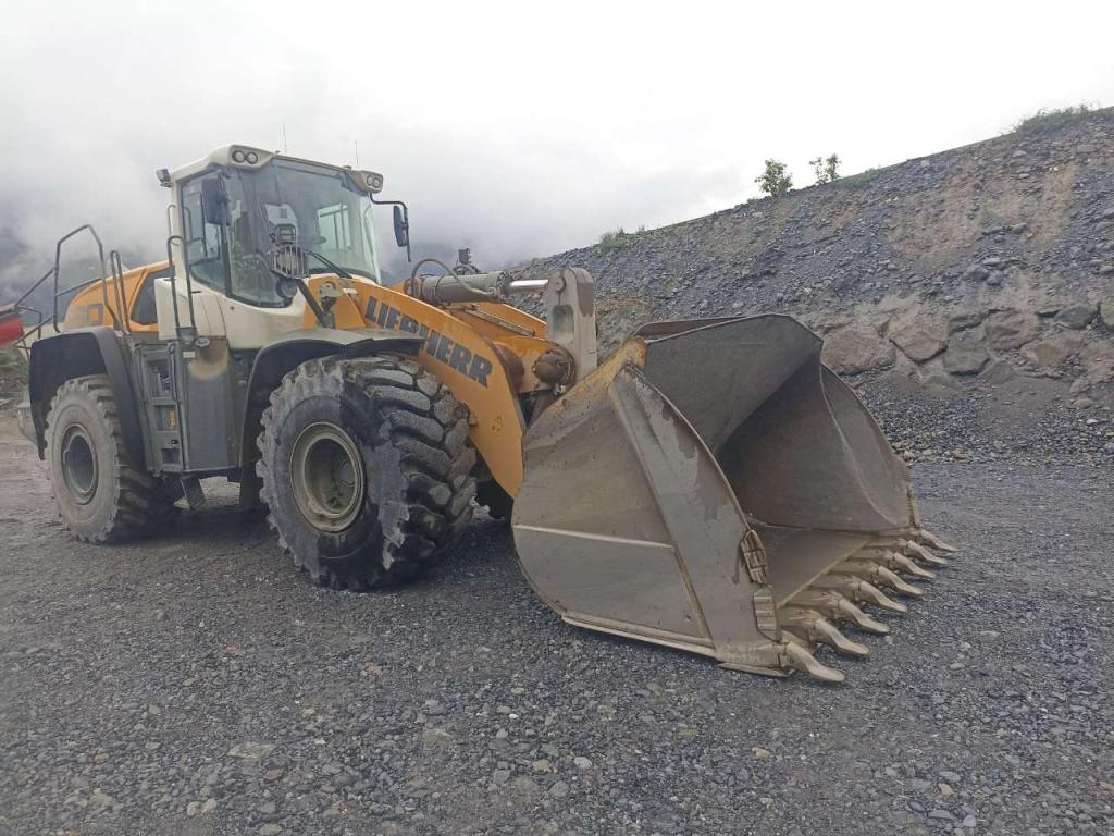 Liebherr L 580 X POWER (versione 40km/h) Foto 4