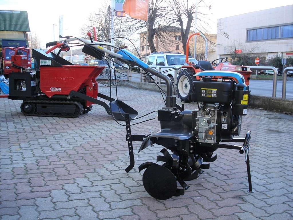 Bertolini 218 D Foto 4